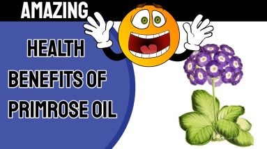 The Health Benefits of Evening Primrose Oil: A Comprehensive Guide 6 1683875900 maxresdefault