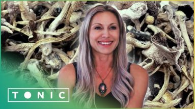 The Medical Potential Of Magic Mushrooms | Have A Nice Trip: Psychedelics And Medicine | Tonic 6 1684226256 maxresdefault