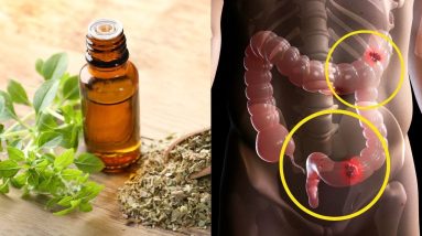 This Anti-Inflammatory Herb Is A+ For Your Gut Health and more ( Oregano Oil Health Benefits) 20 1686812417 maxresdefault