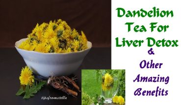 The Amazing Benefits Of Dandelion Root/Plant & How To Prepare Dandelion Root Tea 8 1686941445 maxresdefault