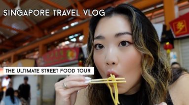 SINGAPORE TRAVEL VLOG 10 1687096469 maxresdefault