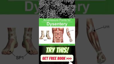 Acupressure Points for Dysentery #shorts #acupressure #dysenterysymptoms #dysenterytreatment #tcm 2 1687264744 maxresdefault