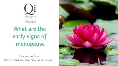 Acupuncture for menopause Melbourne | Early signs of menopause | Qi Medicine Moonee Ponds 4 1688124616 maxresdefault