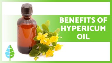 What is ST JOHN'S WORT OIL 🌼✅ (Properties, BENEFITS and How to Do use it) 18 1688220196 maxresdefault