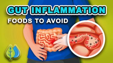 Top 5 Foods that Cause GUT Inflammation - AVOID | eat these anti inflammatory foods 6 1688459135 maxresdefault