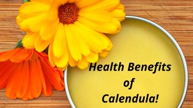 What Is Calendula? How Does It Benefit You? 12 1688694068 maxresdefault