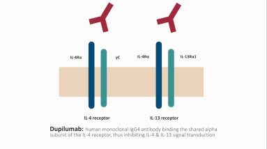 Dupilumab in the treatment of atopic dermatitis - Video Abstract ID 133661 10 1689101315 maxresdefault