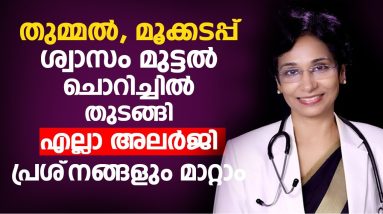 തുമ്മൽ, മൂക്കടപ്പ്, ശ്വാസം മുട്ടൽ, ചൊറിച്ചിൽ തുടങ്ങി എല്ലാ അലർജി പ്രശ്നങ്ങളും മാറ്റാം | #allergy 8 1689173420 maxresdefault