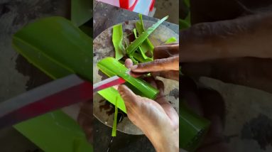How to make medicine with Aloe Vera|Showing activity for in the family or lifestyle 16 1689263274 maxresdefault