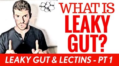 What is Leaky Gut Syndrome? | Leaky Gut & Lectins | Pt 1 2 1689320834 maxresdefault