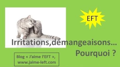 EFT : Allergies, eczéma, tout ce qui irrite 20 1689598618 hqdefault