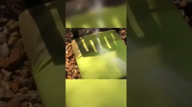 Live Oak Home & Commercial. Drippings Springs Pressure Washing. 6 1689600676 maxresdefault