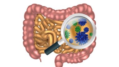 6 Steps to Heal Leaky Gut and Autoimmune Disease Naturally 20 1689701225 maxresdefault