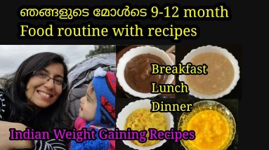 9-12 മാസം കുഞ്ഞുങ്ങൾക്കായി Breakfast, Lunch, Dinner | 9 month Baby Food Chart in Malayalam 16 1690451757 maxresdefault
