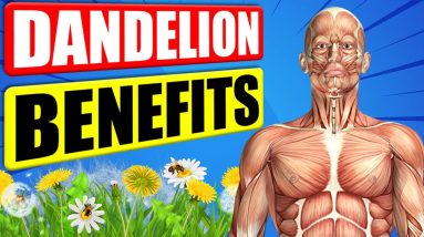 DANDELION BENEFITS - 12 Impressive Health Benefits of Dandelion 2 1690561881 maxresdefault