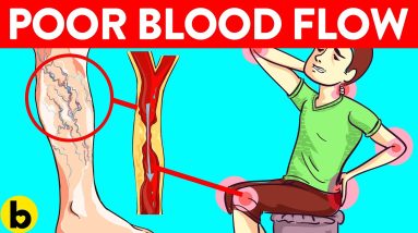 5 Causes of Poor Blood Circulation 18 1690704436 maxresdefault