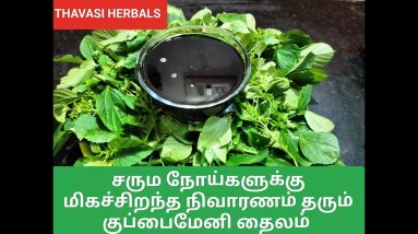 குப்பைமேனி தைலம் By THAVASI HERBALS | TO BUY THIS THAILAM CONTACT:9994431231 12 1690883819 maxresdefault