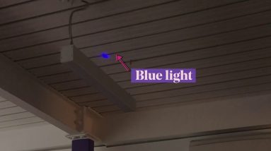 Our Blueberry Booster blue light Demo 2 1691343415 maxresdefault