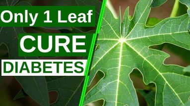 Only 1 Leaf To Cure Diabetes Permanently | Say Goodbye To Diabetes | Health Tips 6 1692170308 maxresdefault