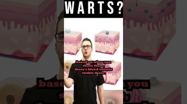 1693137066 maxresdefault