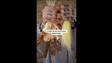 Corn silks as a natural medicine and to loose weight?🌽#shorts #short #vegan #naturalmedicine #corn 4 1693382536 maxresdefault