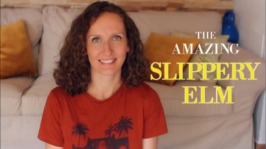 Slippery Elm Bark: How To Use It for Healthy Digestion, Beautiful Skin, and More! 14 1694551166 maxresdefault