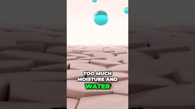 1698672971 maxresdefault