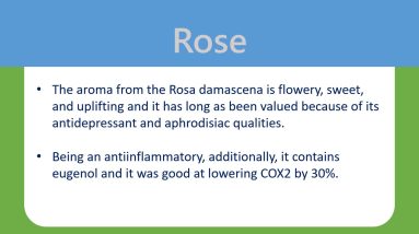 Anti-Inflammatory Essential Oils To Heal Eczema - Clove - Thyme 18 1699508519 maxresdefault