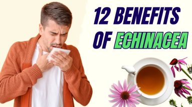 12 Powerful Benefits of ECHINACEA TEA and How to Make It 8 1699633385 maxresdefault