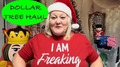 I AM FREAKING MERRY! || DOLLAR TREE HAUL! 20 1702693553 maxresdefault
