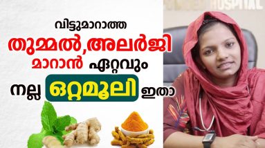 വിട്ടുമാറാത്ത തുമ്മൽ, അലർജി വീട്ടിൽ വെച്ച് തന്നെ പരിഹരിക്കാം | Allergy Ottamooli | Arogyam 12 1702744861 maxresdefault