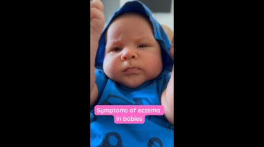 1764995912 maxresdefault