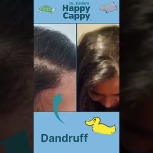 1765023472 maxresdefault