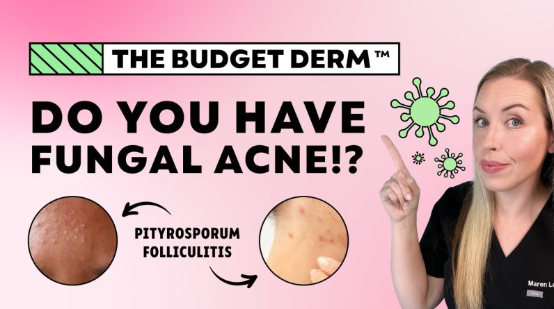 1765023568 maxresdefault