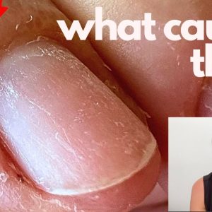 1765033434 maxresdefault