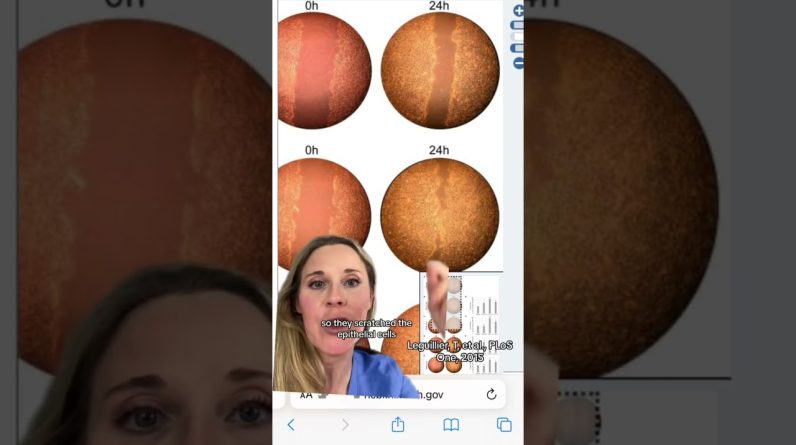 1765033600 maxresdefault