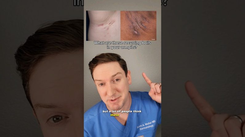 1765048991 maxresdefault