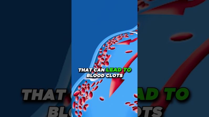 1765050714 maxresdefault