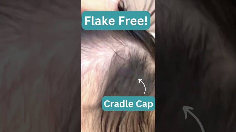 1765056365 maxresdefault