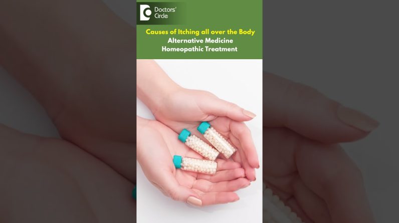 1765084986 maxresdefault