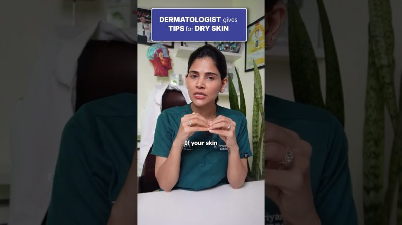 1765100335 maxresdefault