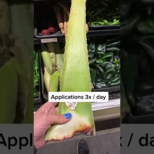 1765103037 maxresdefault