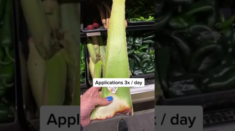 1765103037 maxresdefault