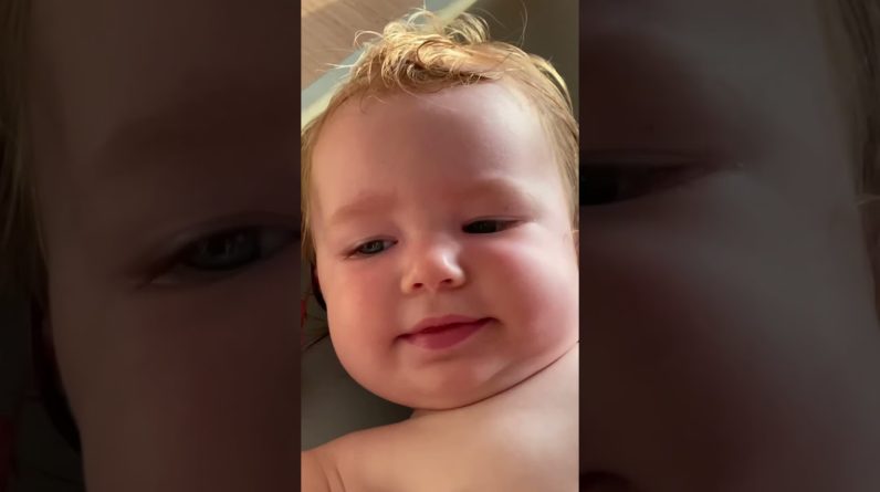 1765104116 maxresdefault