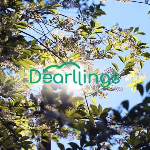 1765122425 maxresdefault