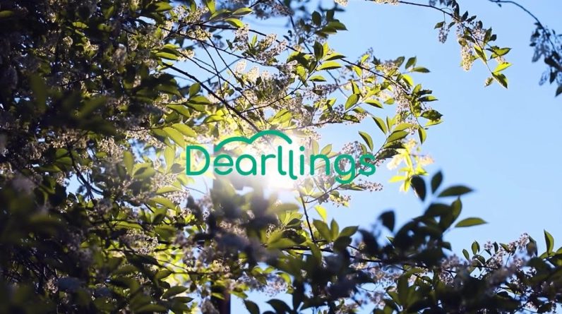 1765122425 maxresdefault