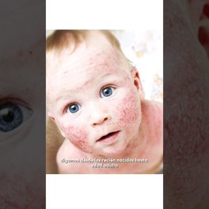 1765144600 maxresdefault