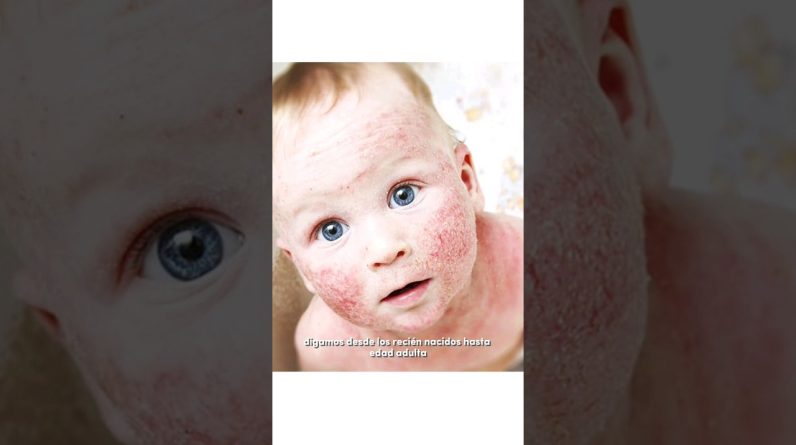 1765144600 maxresdefault