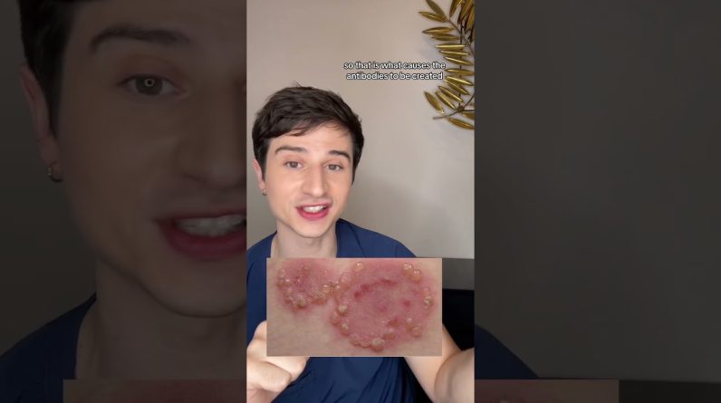 1765150762 maxresdefault