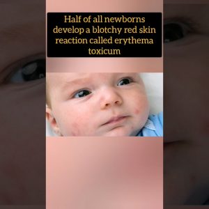 1765177323 maxresdefault